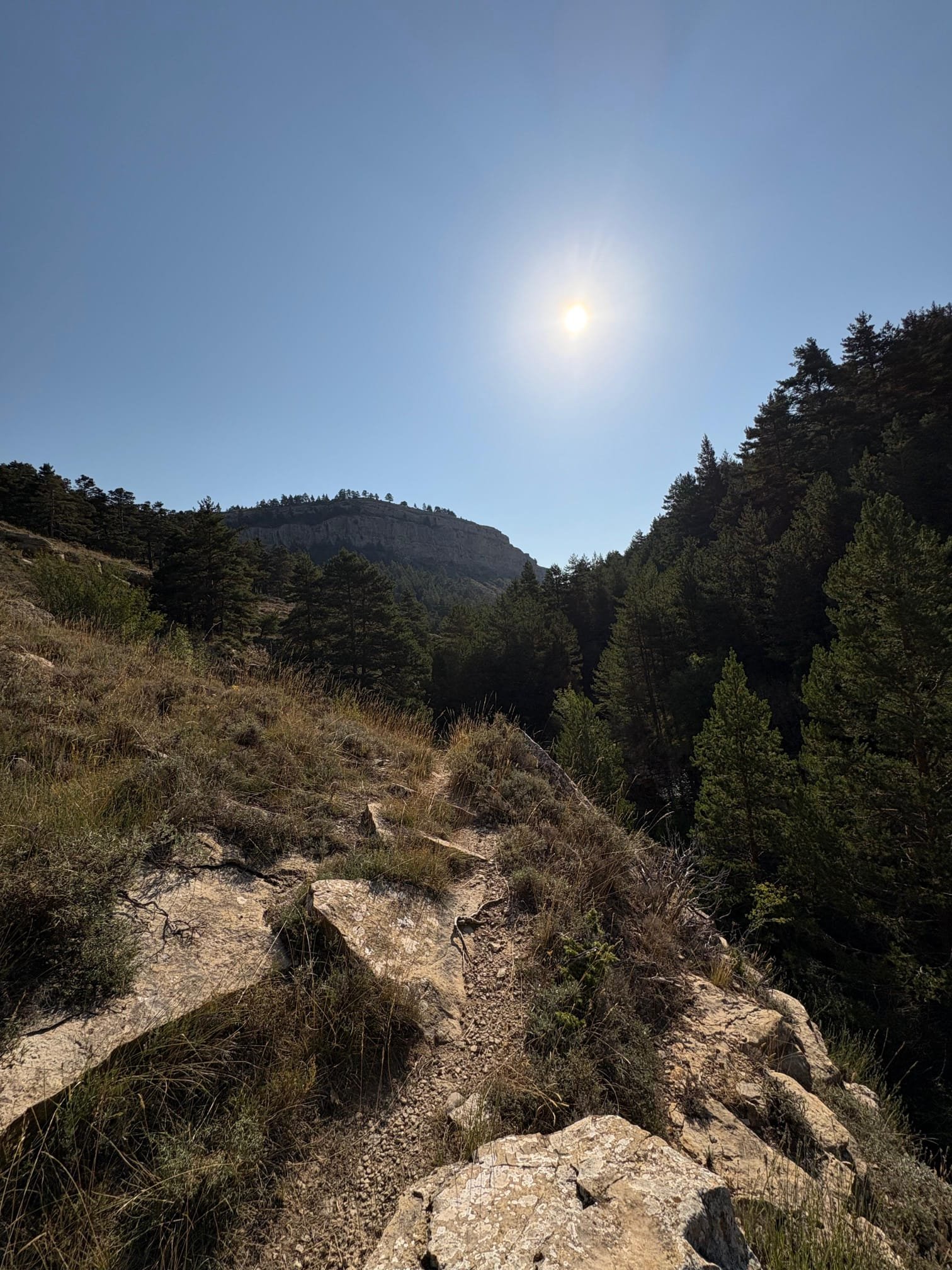 Foto de la ruta